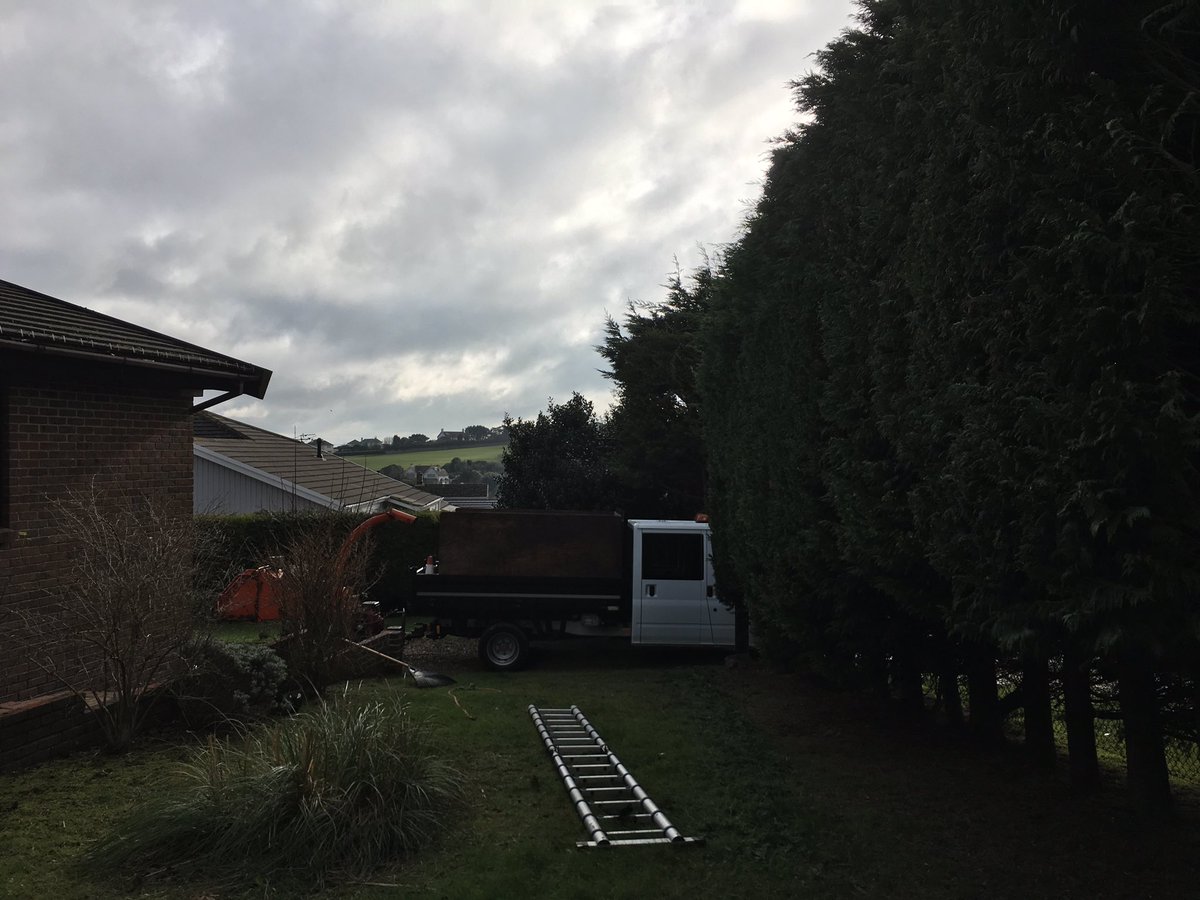 DoctorsTree's tweet image. In walmer , deal, Kent. Little chilly with the wind chill today brrrr ❄️🌨❄️.