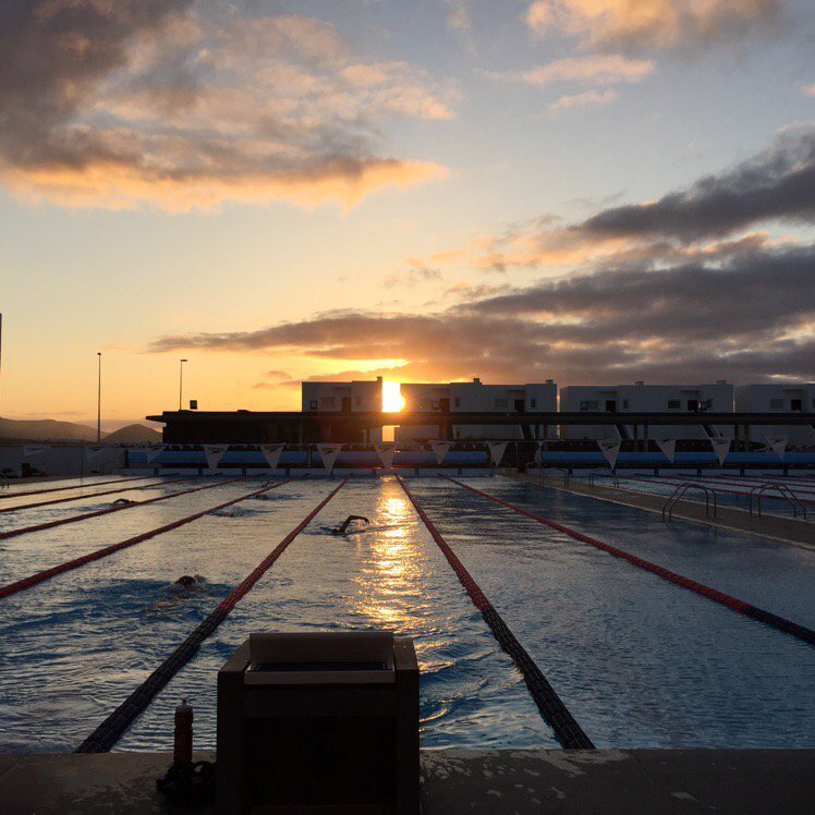 Ligertri Pro_gram tweet media