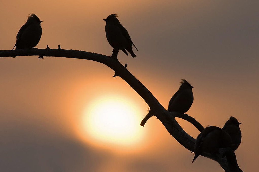 BianchiNRoma's tweet photo. Se ami la vita,
   ogni giorno è un buon #giorno..

{..bella giornata a tutti....
    ...nel #vento dell'anima...} https://t.co/PTl5kG2cnB