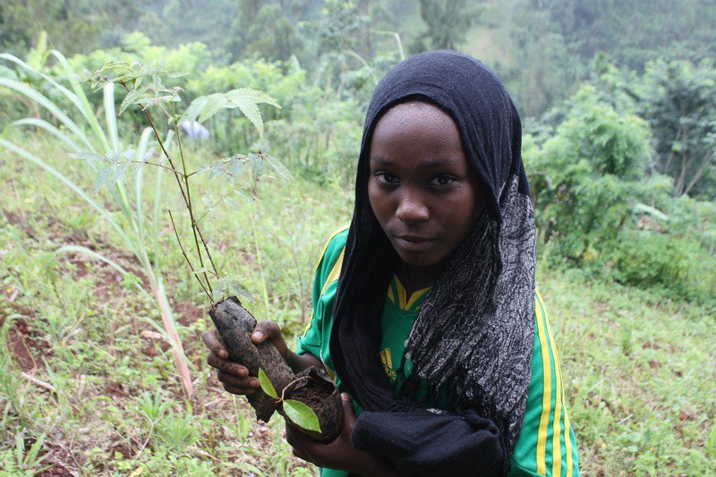 Dahari Comoros tweet media