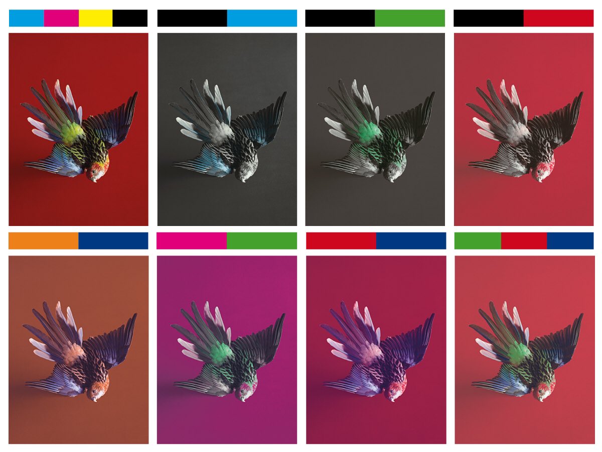 ECAL - Lausanne tweet media