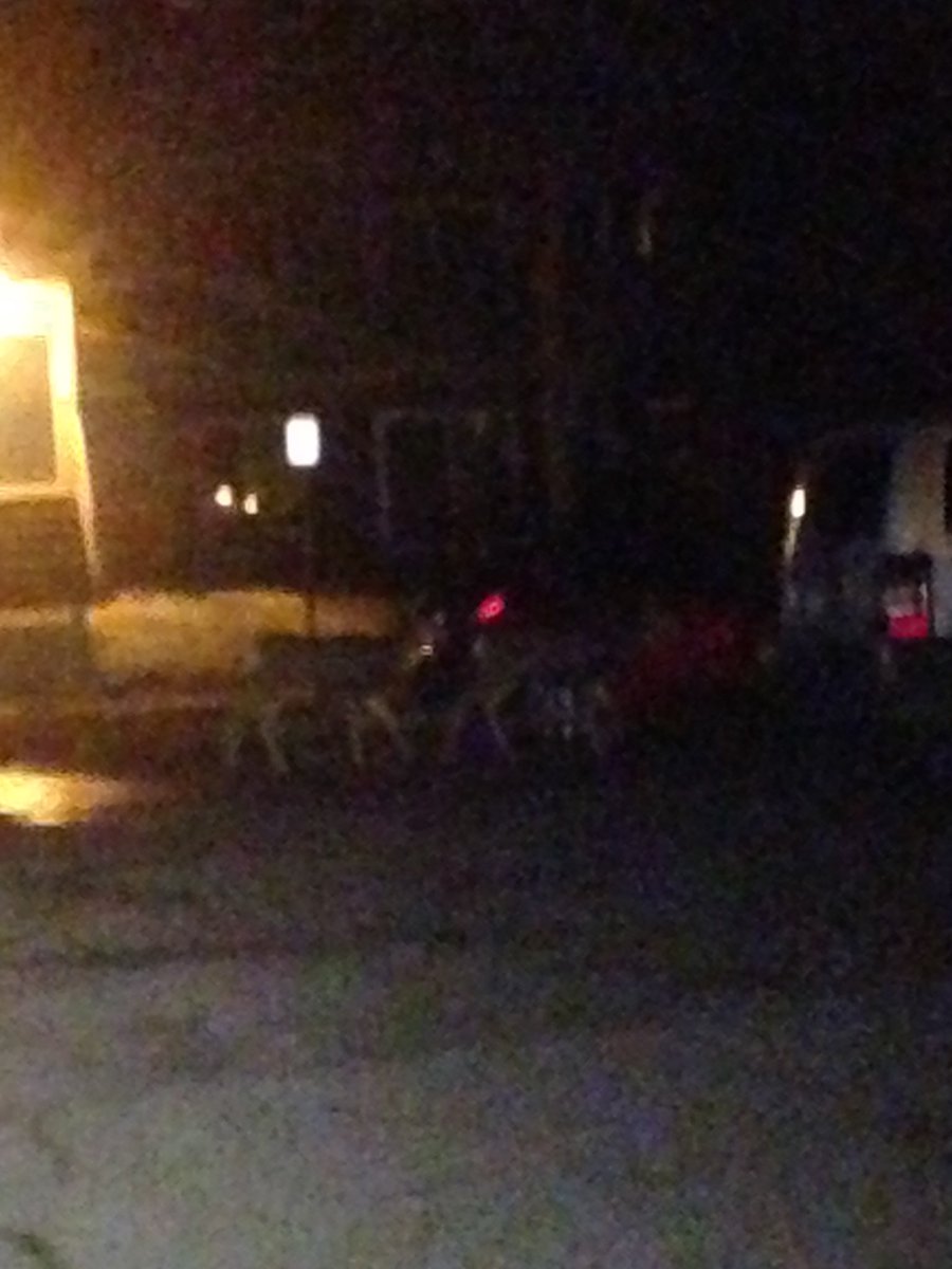 Well there's something you dont come across every day #doe #deer #femaledeer #yyc #4amproblems