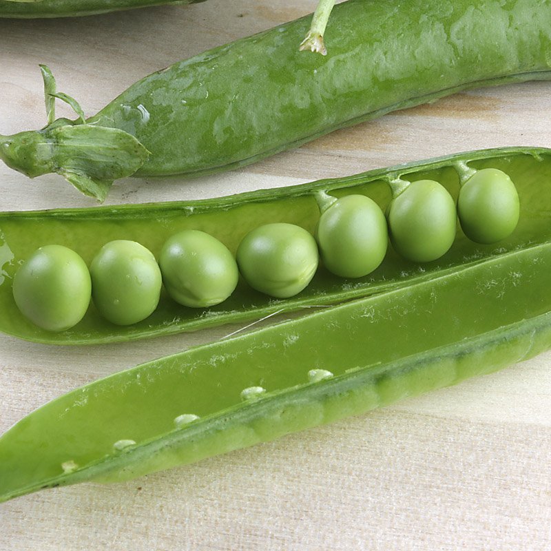 Diguesblat tweet media