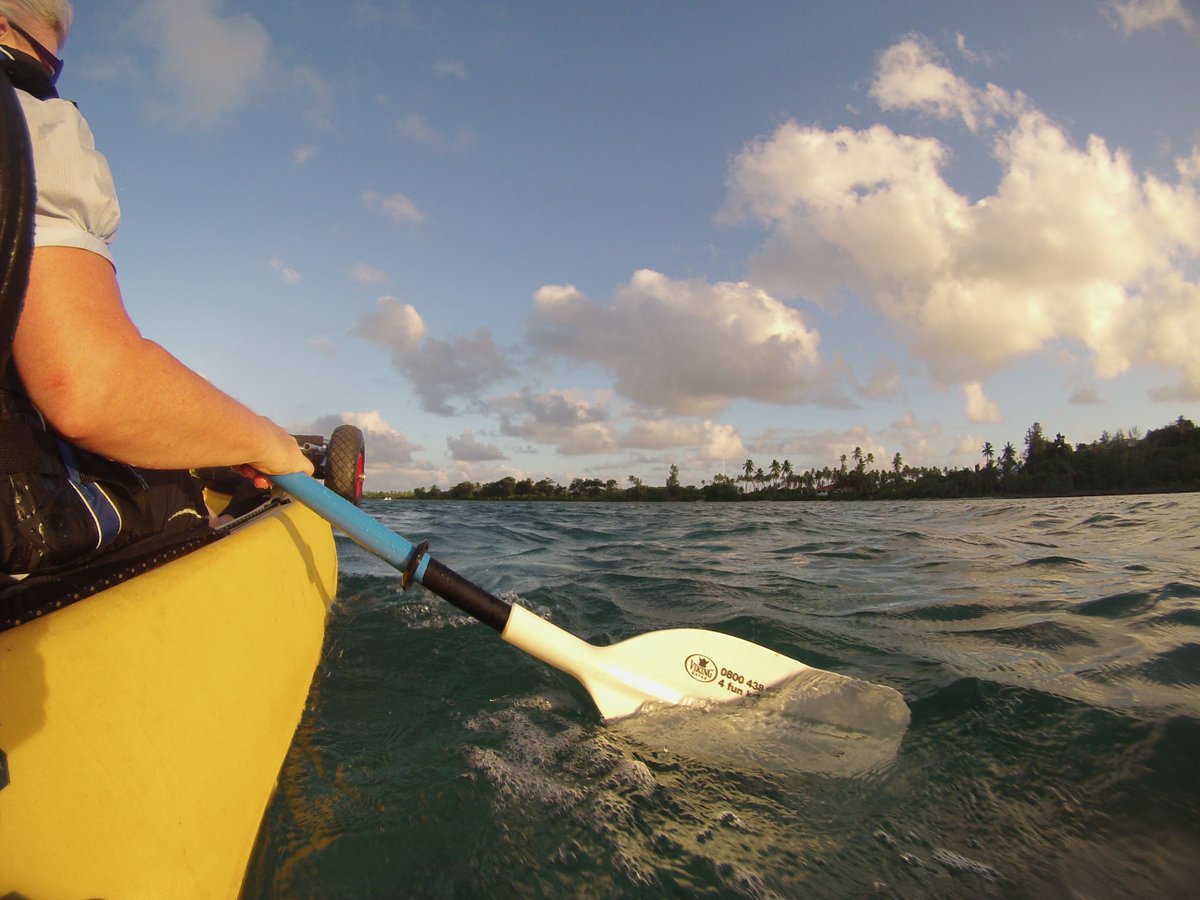 2ndNatureSwim's tweet photo. Swim efficiently &amp; in control by knowing how to use your human paddles (your hands &amp; forearms)! #technique #fun https://t.co/YQ065FhQEX