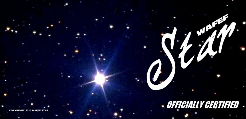 WAFEFSTAR tweet picture