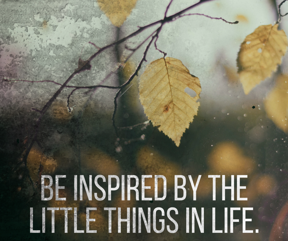 Habitationdsgn's tweet photo. Good morning and happy Monday from Michelle &amp; Greg! https://t.co/9aSgMctRTG
