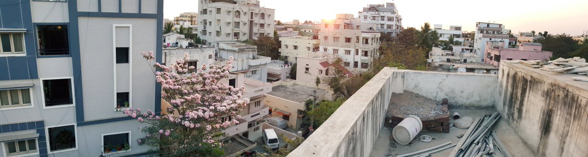 manishxo's tweet image. #photography #springsnaps #Panorama 😍 #goodvibes #Valentines