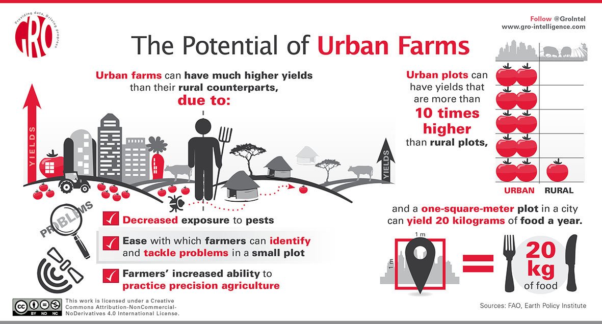SaraMenker's tweet photo. Gro-Graphic: #UrbanFarming has some serious advantages and enormous potential https://t.co/fZXlx4wbjr https://t.co/XznA8c7ulg
