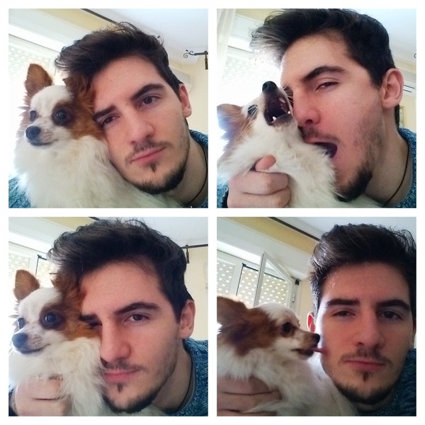 SpykeMedia's tweet image. Win your Gold Pass to #MWC16! 10 hours to go. #DogsOut contest ends midnight CET: Send your dog pic to #SpykeMedia