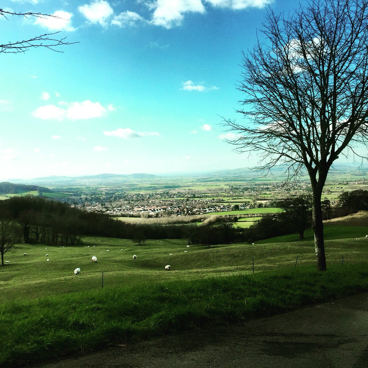 Stokesy_105's tweet photo. Stunning view on my way to @TheFishHotel @FarncombeEstate https://t.co/rHLZnsMDm9