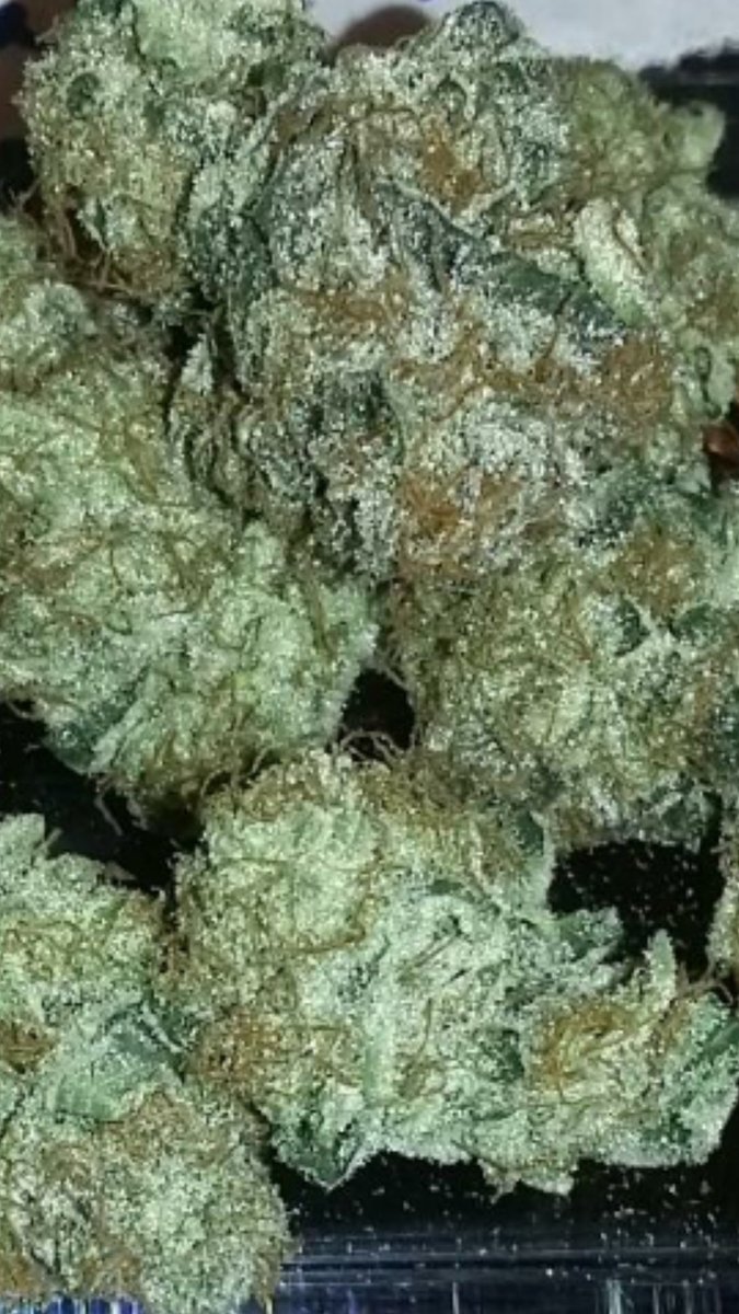 nexuscbd's tweet photo. Purple Kush and Cantaloupe Kush..both fire...take your pick..on the shelf today..#wantnug #wantnugs https://t.co/QMVfB5DYoK