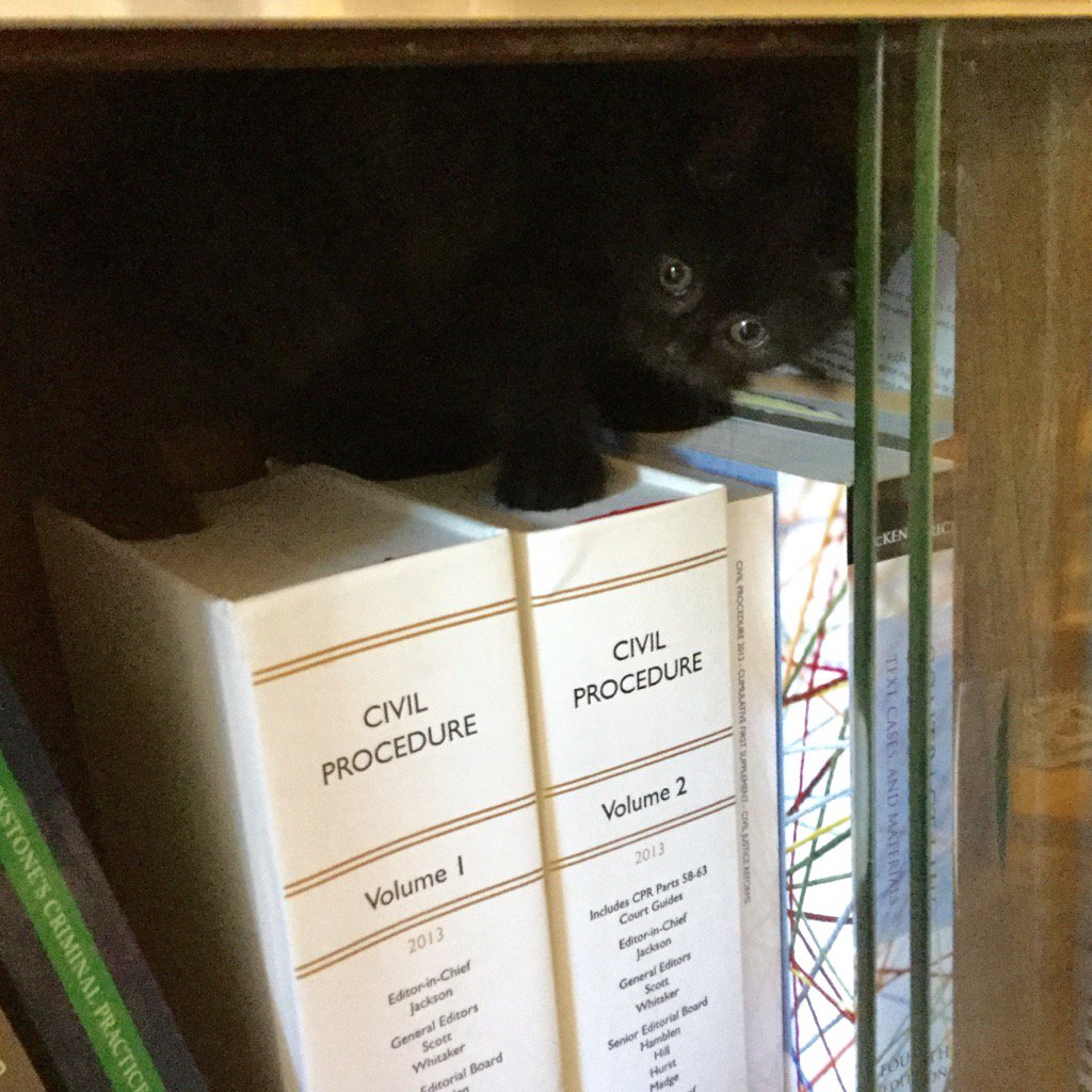 Grays_Ink's tweet photo. Couldn't find the kitten for like an hour, then found him asleep on the White Book. #Clawyer https://t.co/N7utqwgx9l