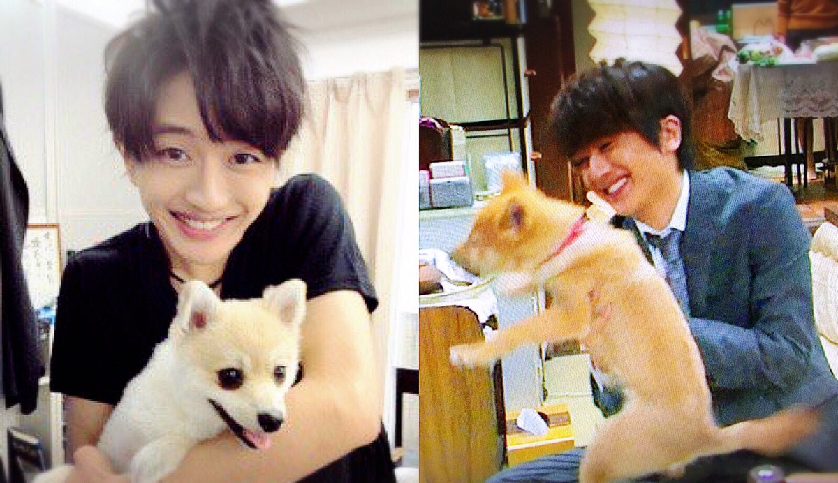 べっちゃん では 見比べてみましょー 左 西島隆弘と仔犬 12年ver 右 西島隆弘と仔犬 16年ver いつ恋 月９ 西島隆弘 にっしー T Co Cmkbazdko2