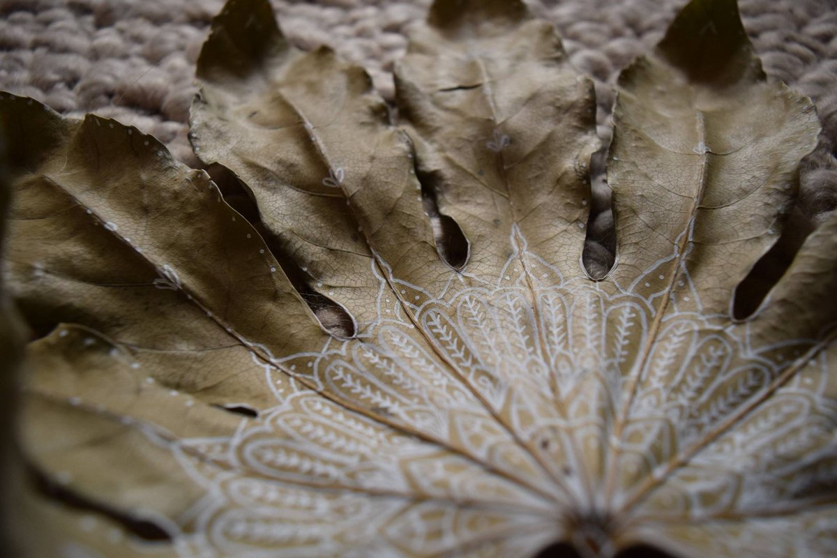 CatherineMonk's tweet photo. Natures Process. My original painted leaf revisited a year later. #nature #inspiration #mandala #naturalart #process https://t.co/LPqEExFqoY