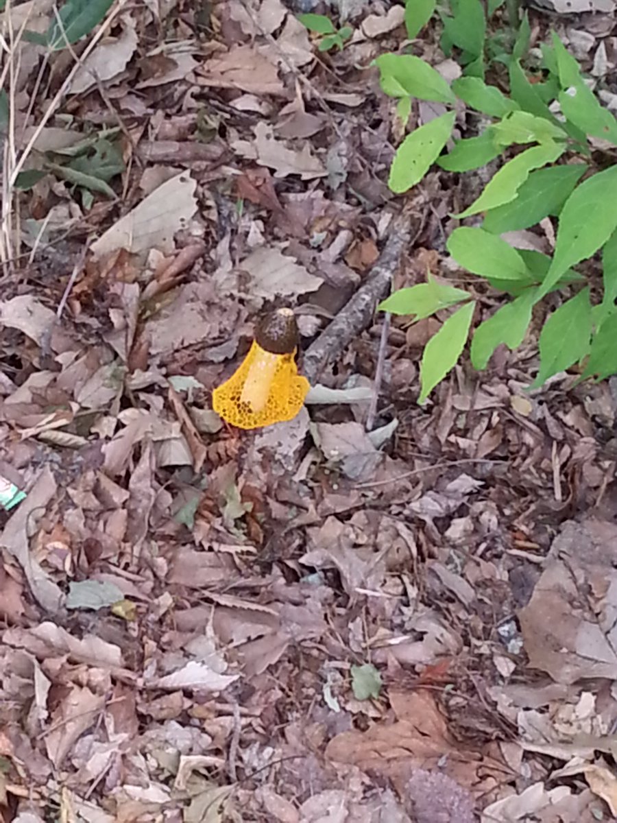 심희선 (@bbc15cba9605111) on Twitter photo 