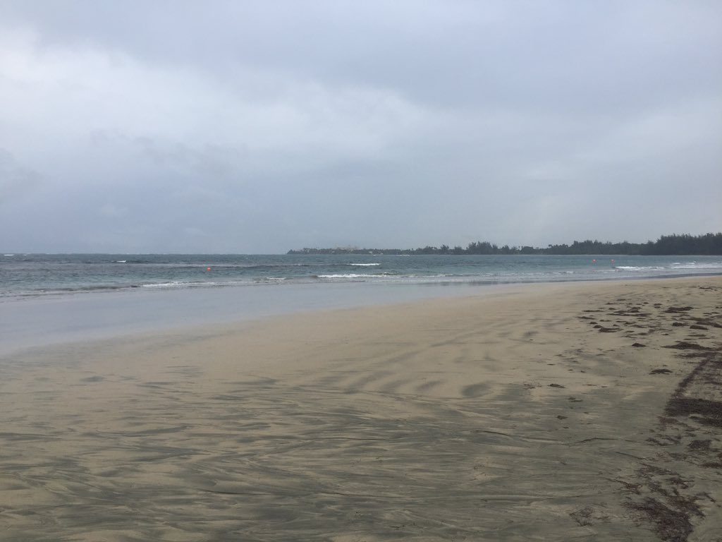 gilsanpr's tweet photo. Morning Run https://t.co/qP3GQKRTEp