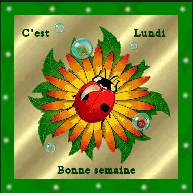 Jeapam's tweet photo. Bon début de semaine à tous... https://t.co/bRHQ2Cpi0L