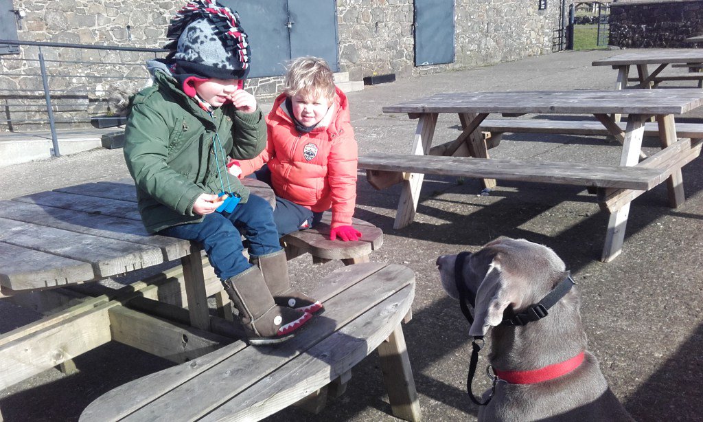 Sleep wilsonblades.wordpress.com/2016/02/15/sle…