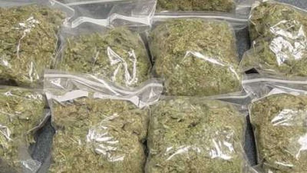 GrinchDenoel's tweet photo. Weeds https://t.co/irLpiMOB1h
