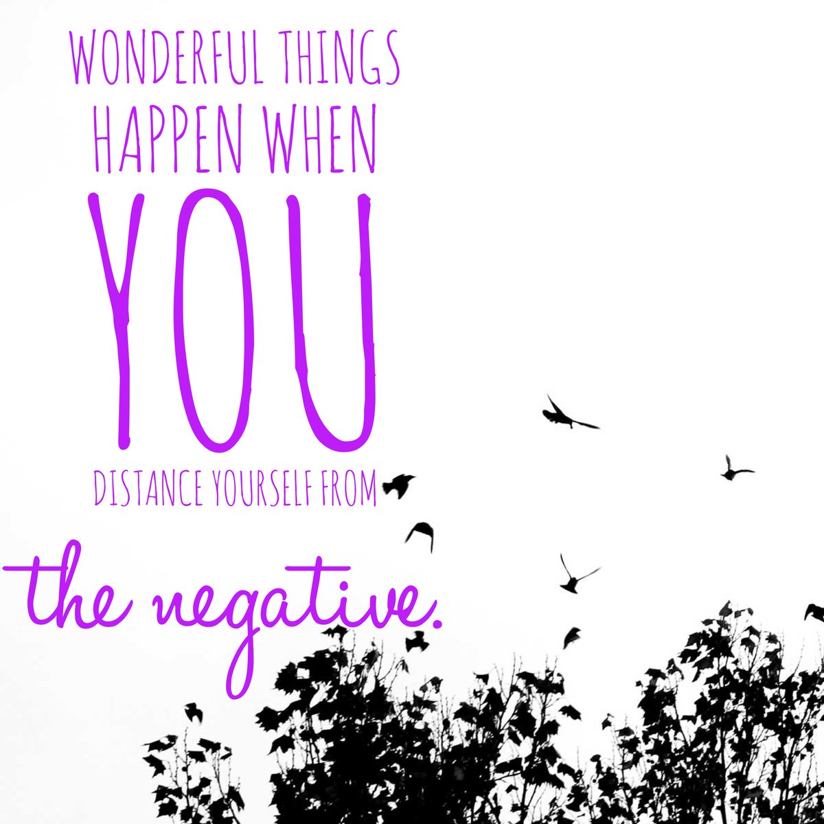 Thunder Cheerleading tweet media