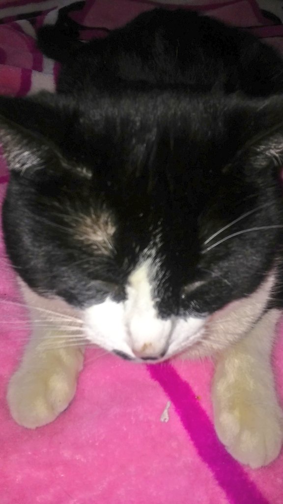 mariethomasd's tweet image. 