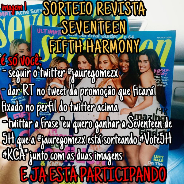 llaurenboy's tweet image. Eu quero ganhar a Seventeen de 5H 
que a @jauregomezx está sorteando 💗
#Vote5H #KCA