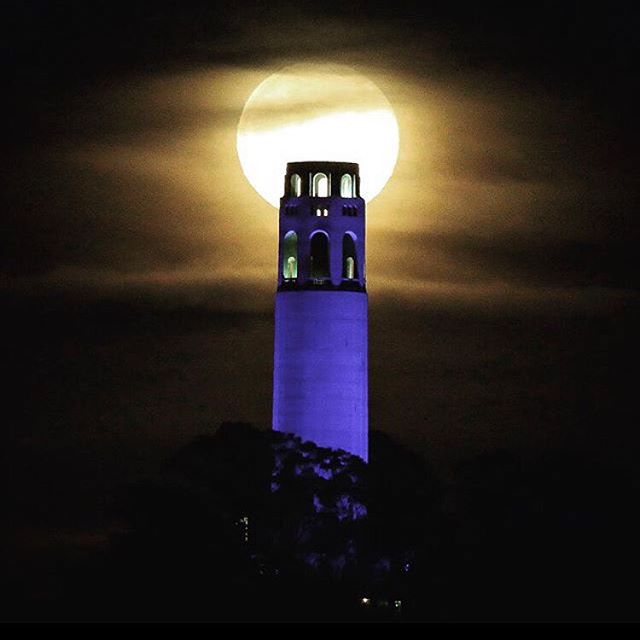 mrTRAVEL2DAY's tweet image. 