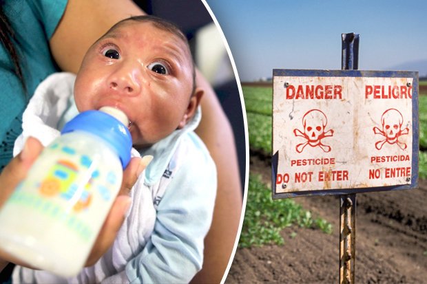 It’s Not The Zika Virus — Doctors Expose Monsanto Linked Pesticide As Cause Of Birth Defects
activistpost.com/2016/02/its-no…