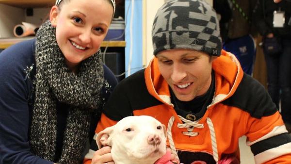 baltsunlife's tweet photo. "Miracle Molly," the pit bull who was struck by a train, gets her fairy tale ending. https://t.co/I7dspG4s8Y https://t.co/958RClfHDq