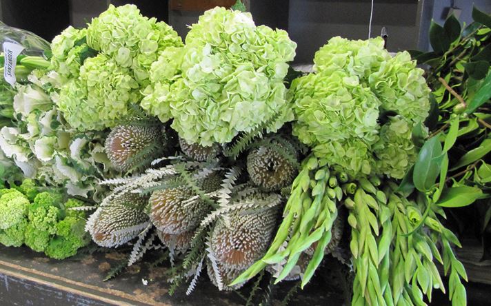 GardenDesignMag's tweet photo. Visiting #SanFrancisco soon? Check out @sfflowermart for 50+ vendors https://t.co/oxtPka5Wth  #Flowers @SFFlowerShow https://t.co/yxnK4xlFsa