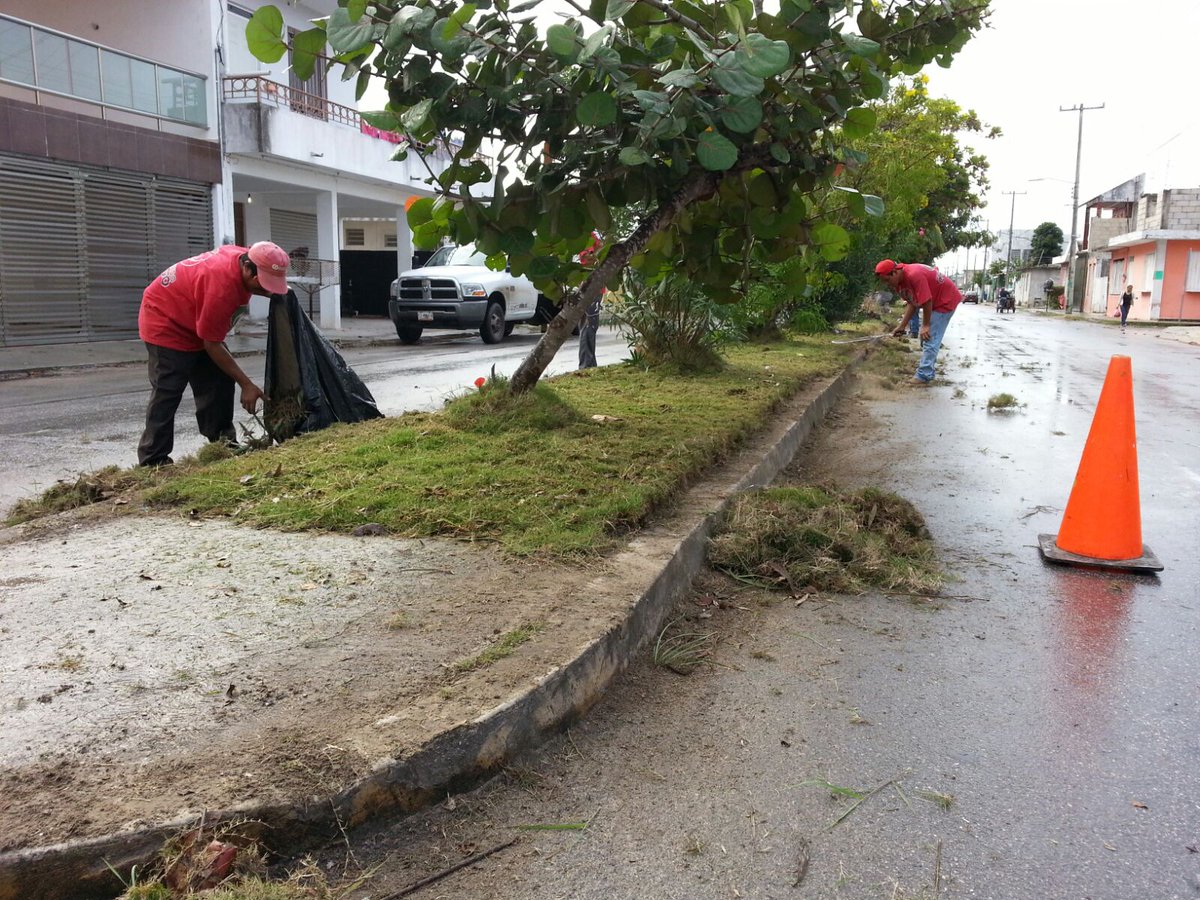 ProgramasRBA's tweet photo. Esta mañana las #BrigadasDelBienestar realizando limpieza de camellones en Av. Aarón Merino con C. Onesimo Poot. https://t.co/RotpOhWGWF