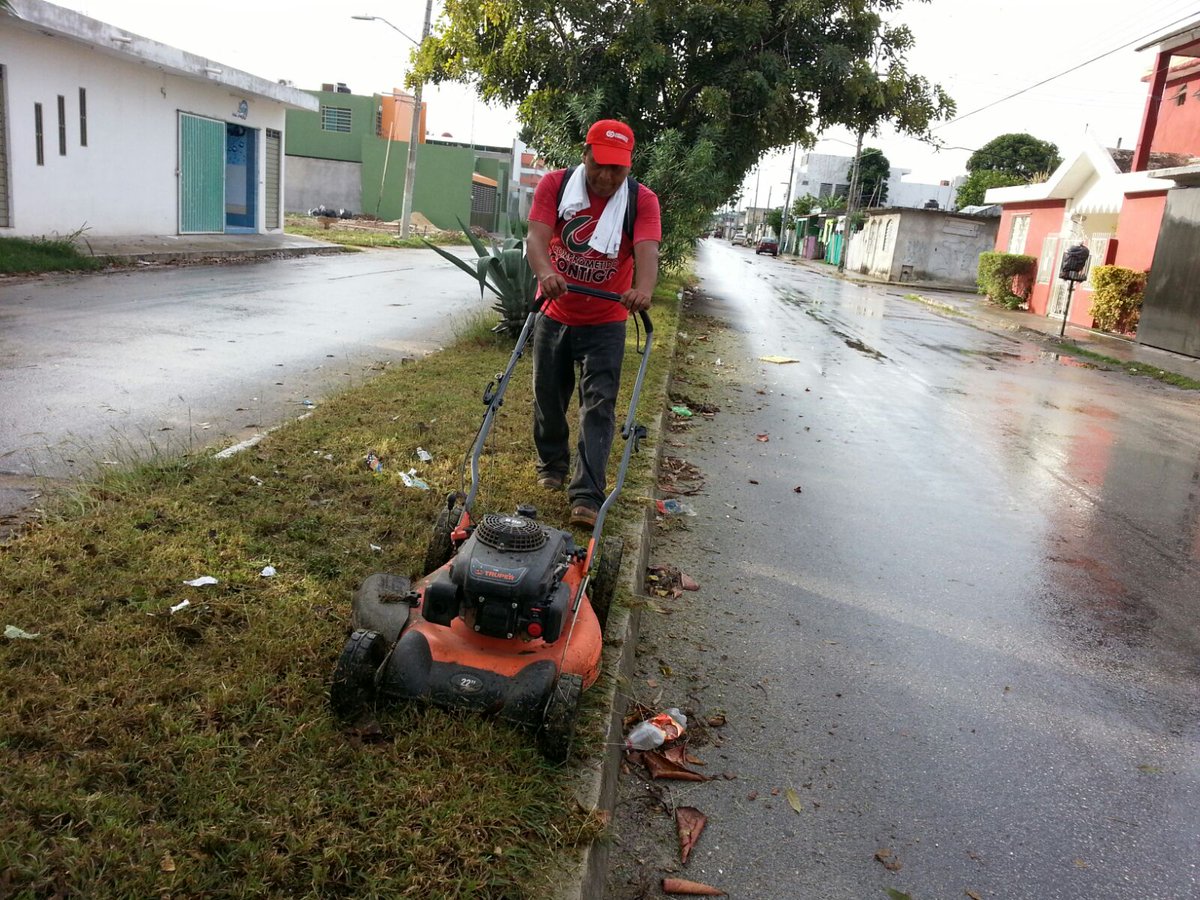 ProgramasRBA's tweet photo. Esta mañana las #BrigadasDelBienestar realizando limpieza de camellones en Av. Aarón Merino con C. Onesimo Poot. https://t.co/RotpOhWGWF