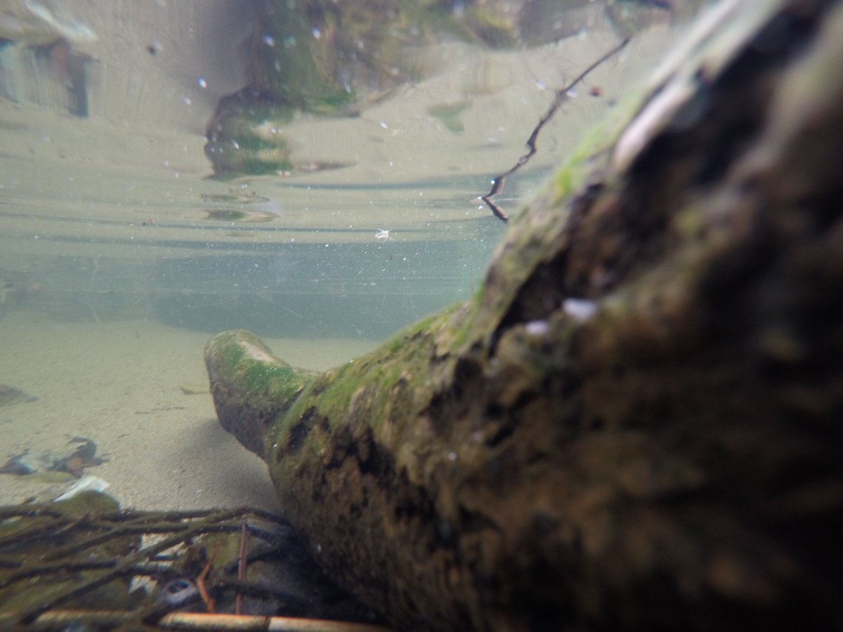 Arons_photos's tweet photo. I love it❤#GoPro #goprohero4 #gopro4life https://t.co/H9x5oPJJAM