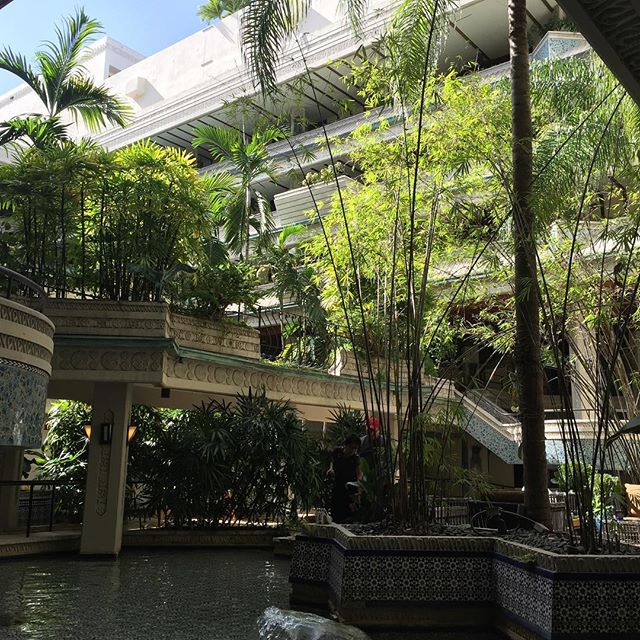 Mayfair_Miami's tweet photo. Relaxation is the art of letting go. photo by @rebekahhamblin https://t.co/CrwbKbCneZ