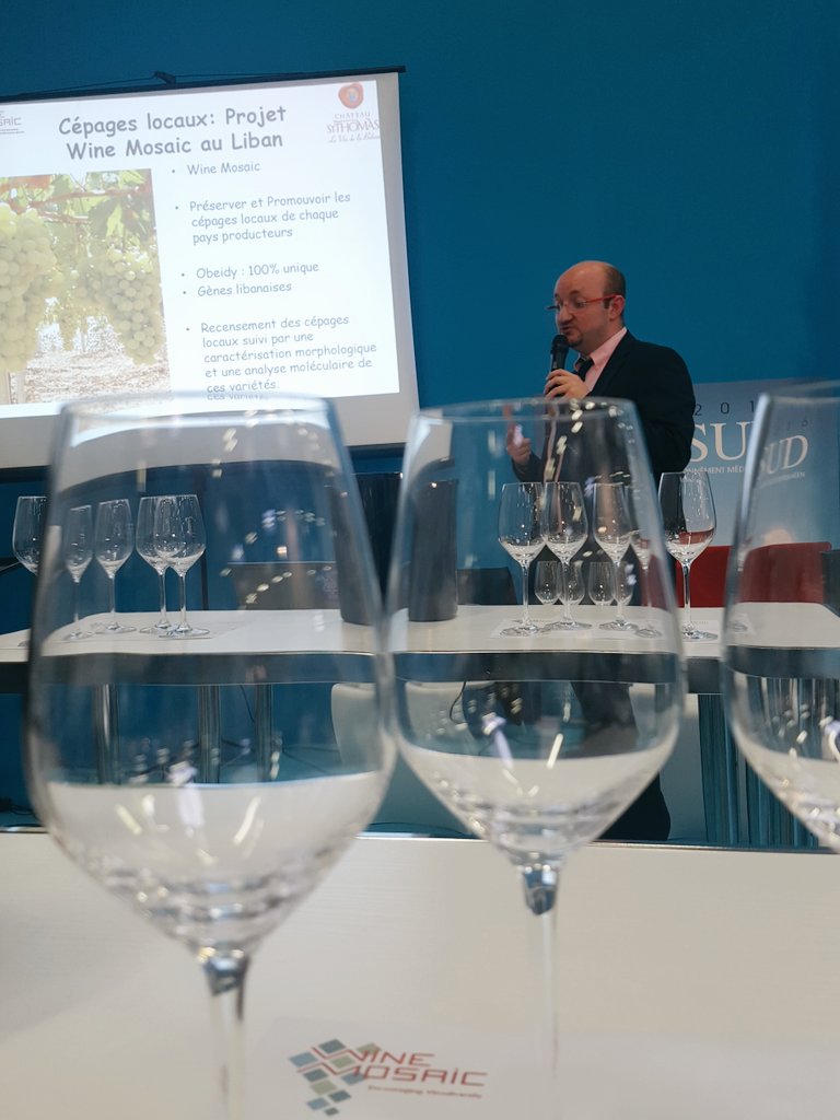 LeVinParfait's tweet photo. Do you know #Obeidy grape? If you are in #vinisud come and discover this #lebanese native grape in #winemosaic https://t.co/JQxcP6QHSa