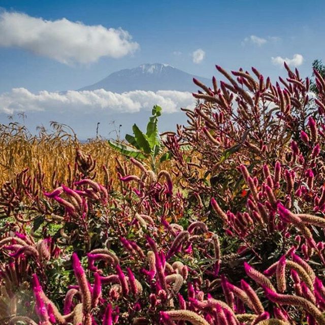 mrTRAVEL2DAY's tweet image. 