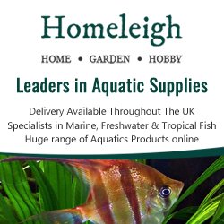 Homeleighonline's tweet photo. Got a question about aquatic products? No matter where you live our team can help! Call on 01566 771878 #Aquatics https://t.co/zFQbZEQuEH