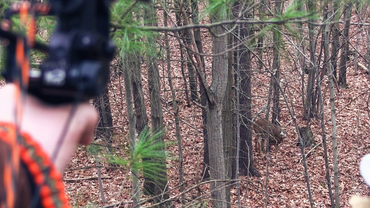 FinalStepOutdrs's tweet photo. Josh at full draw on his 2015 PA buck. #BuckCage #FSOLIFE #TeamFSO #BowHunting #Hunting #HuntPA #FXA #DCAP https://t.co/nD18KAnilf