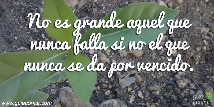 guiaconfia's tweet photo. ¡No te des por vencido!
https://t.co/D2NcLgHtrQ https://t.co/sbQXqYZBUH
