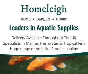 Homeleighonline's tweet photo. Check out our huge range of aquatics stock &amp; talk to our experts in store or on the phone > https://t.co/9FYd4qz79Q https://t.co/OEm8UcSoSL
