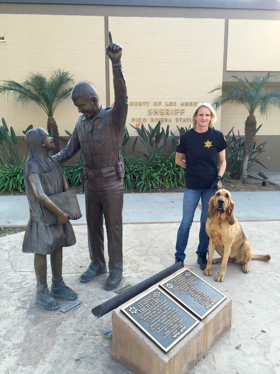 vcsark9's tweet image. K9 Morgan tracks a murder suspect over 2 miles for a local agency.  A month later a suspect is in custody! #vcsark9