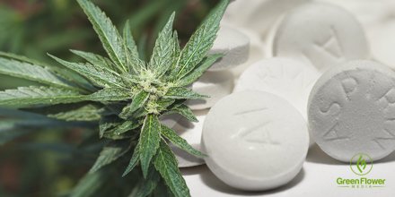 greenflwrmedia's tweet image. Why and How I Gave Up Everyday Painkillers In Favor of Medical Marijuana bit.ly/MMJ_OTC #mmj #marijuana