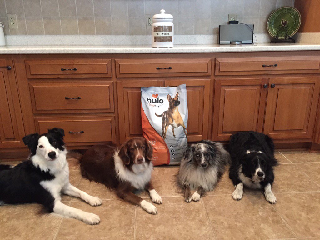 borderpawtrol's tweet photo. Picked up fresh bag of @HelloNulo Nulo Freestyle for the crew. sold @TailsSpinPets! The Pawtrol loves it! https://t.co/jpaFTPX9TR