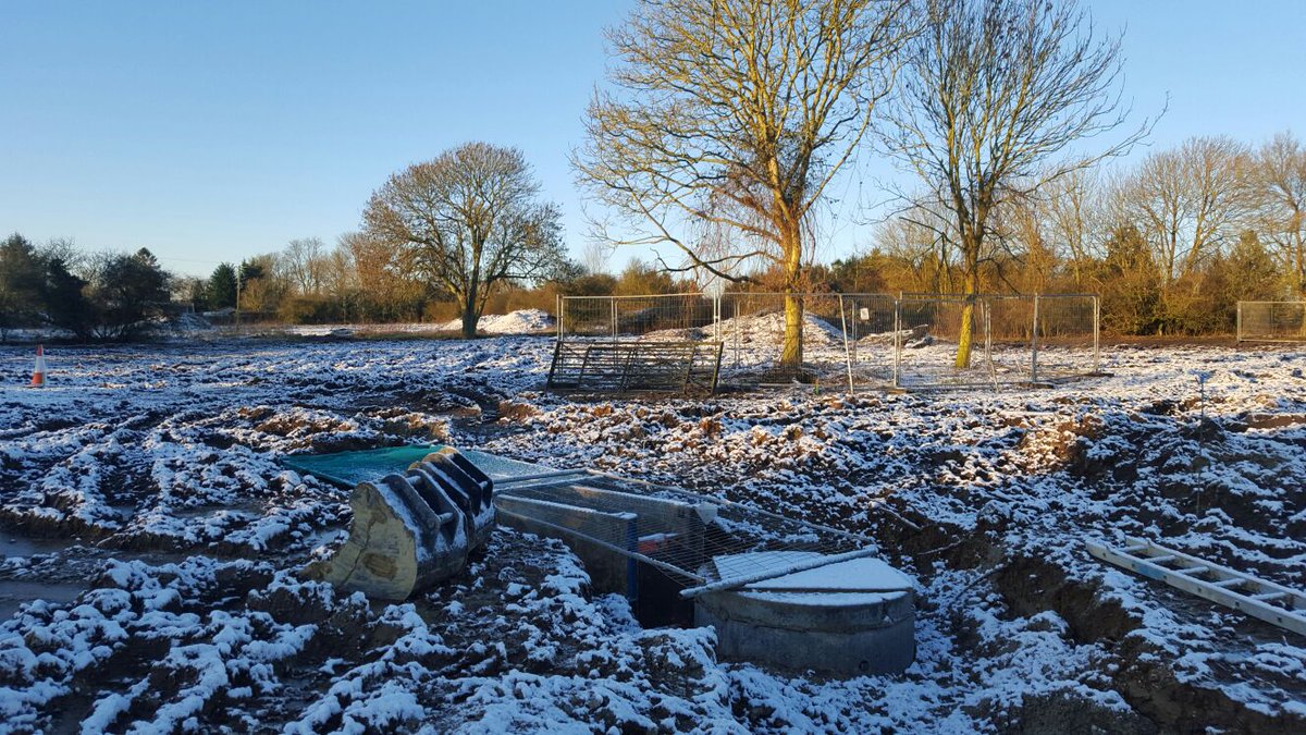 Landex Ltd. tweet media