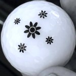 Photo by Vision Golf Ball (@VisionGolfBall)