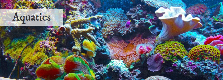 Homeleighonline's tweet photo. We've a huge range of technical reefkeeping products in stock for dispatch - check them out https://t.co/9FYd4qz79Q https://t.co/SHTidJXlfs