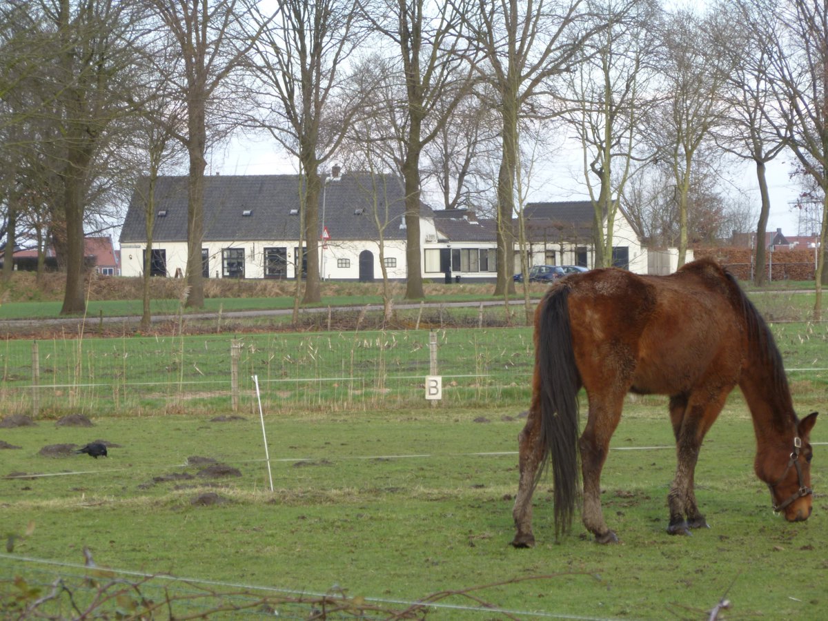 Restaurant De Cuijt, Mierlo. Voorheen een langgevelboerderij en herberg voor de schippers. Bouwjaar ca. 1850