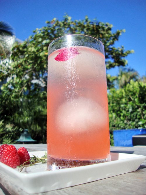 Let us be your guide to the ultimate cocktail experience.