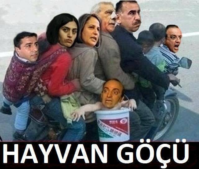 EAlucul's tweet photo. Aynası İştir Kişini Lafa Bakılmaz.
Kimin Bön Bön Bakacağıda Hiç Belli Olmaz Keser Sap Misali.Sen Anladın Oni Silhoo! https://t.co/lWfJ6tB0bG