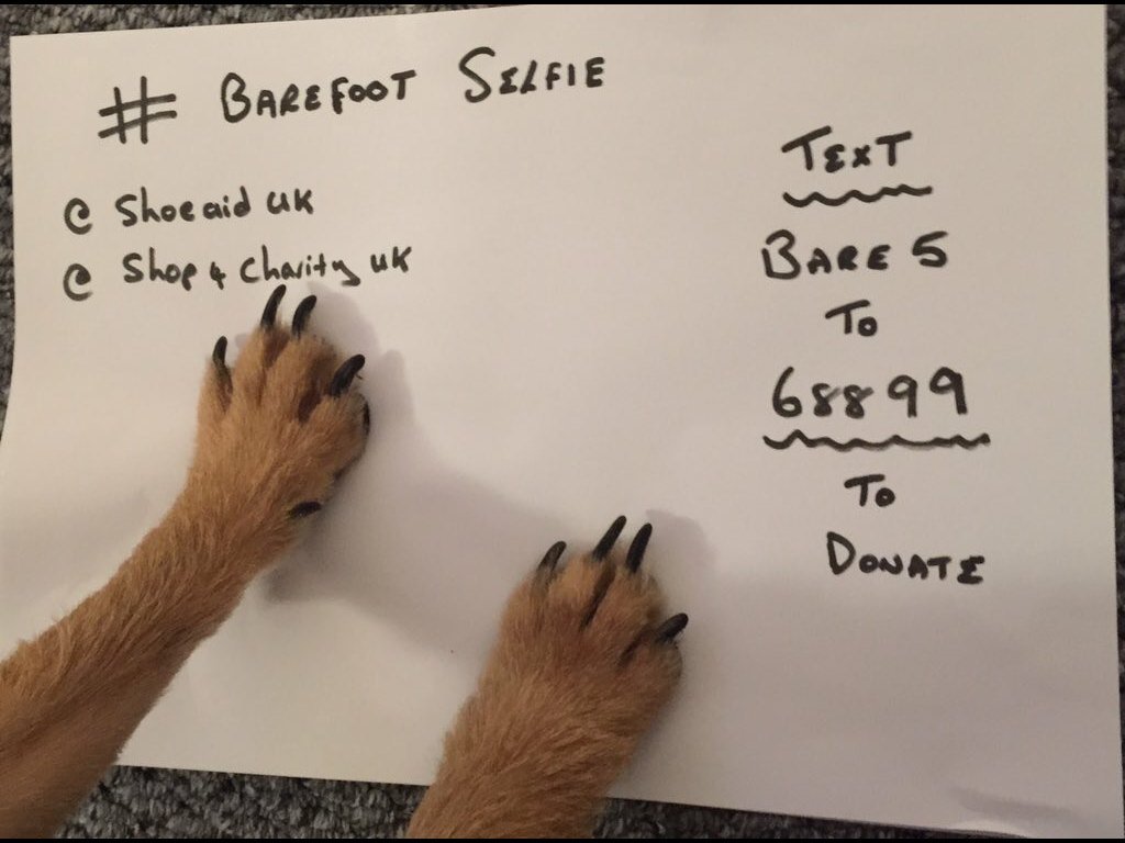 Shop4CharityUK's tweet image. @robbiewilliams any chance of a barefoot selfie for @ShoeAidUK #shoelessforshoeaid campaign? Helping lots of kids!